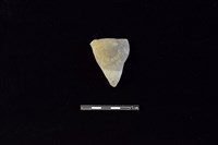 陶片藏品圖，第1張